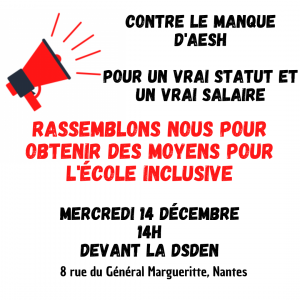 Contre le manque d'AESH/Pour un vrai statut et un vrai salaire/Rassemblons-nous pour obtneir des moyens pour l'École inclusive mercredi 14 décembre à 14h devant la DSDEN (8 rue du général Margueritte à Nantes)